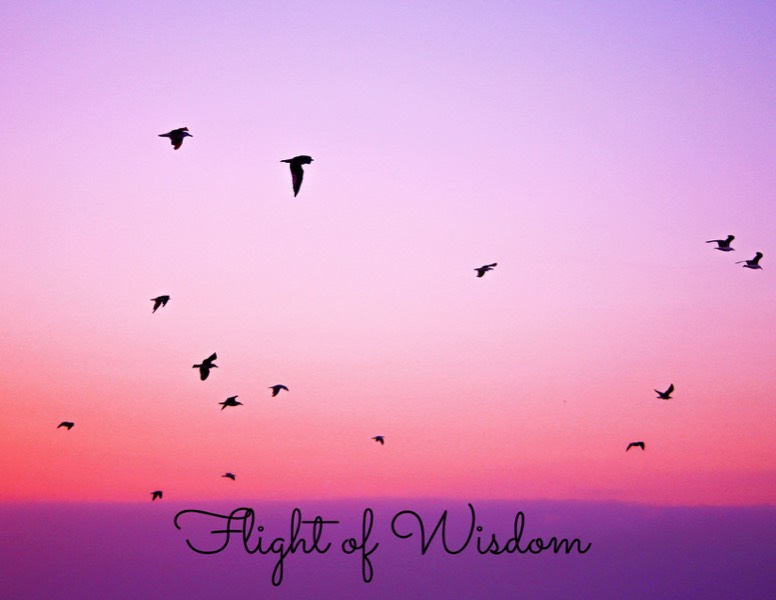 Flight of Wisdom